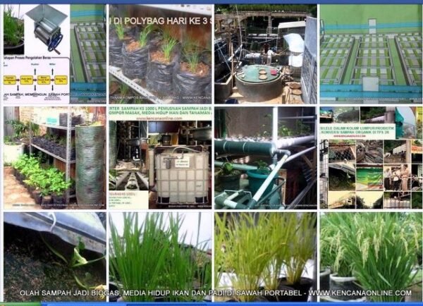 Sawah Portabel 1